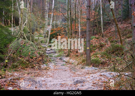 Wanderweg Im Elbsandsteingebirge - Wanderweg in das Elbsandsteingebirge im Herbst Stockfoto