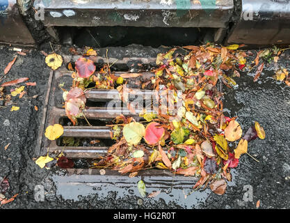 Herbstlaub auf Stadt entwässern Gebäude bis Stockfoto