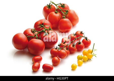 Tomatensorten: Wein, Tomaten, Eiertomaten, Trauben, Tomaten, rote und gelbe Kirschtomaten Stockfoto