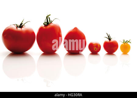 Tomatensorten: Wein, Tomaten, Eiertomaten, Trauben, Tomaten, rote und gelbe Kirschtomaten Stockfoto