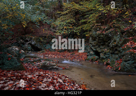 Herbst im Tal ein Gebirgsbach im Herbst. Russischen Kaukasus Stockfoto