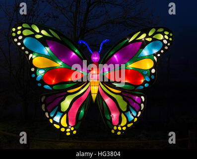 BEEKSE BERGEN, Niederlande - Dezember 29 2016:african Lichterfest mit Schmetterling in rot grün blau Yello gefüllt mit Lichtern im Beekse Bergen on Dez Stockfoto