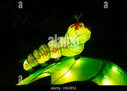 BEEKSE BERGEN, Niederlande - Dezember 29 2016:african Lichterfest mit Caterpillar in voller Lichter im Beekse Bergen am 29. Dezember dieses Festi Stockfoto