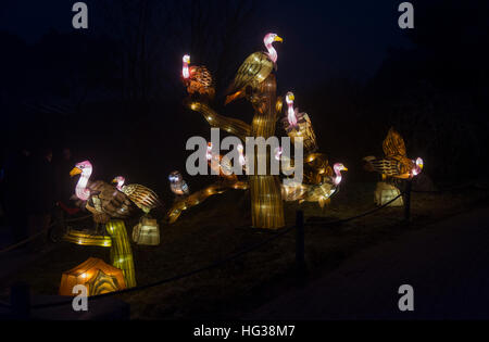 BEEKSE BERGEN, Niederlande - Dezember 29 2016:african Lichterfest mit Geier Gruppe auf Baum voller Lichter im Beekse Bergen am 29. Dezember th Stockfoto