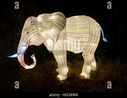 BEEKSE BERGEN, Niederlande - Dezember 29 2016:african Lichterfest mit junger Elefant voller Lichter im Beekse Bergen am 29. Dezember dieses Fest Stockfoto