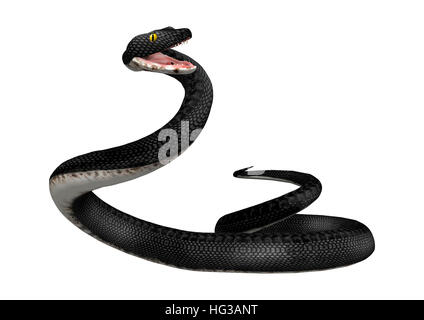 3D-Rendering einer südlichen Black Racer Schlange isoliert auf weißem Hintergrund Stockfoto