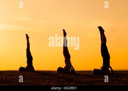 Drei Mädchen üben Yoga bei Sonnenuntergang. Stockfoto