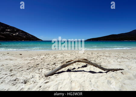 Der schöne Strand Wineglass Bay. Stockfoto