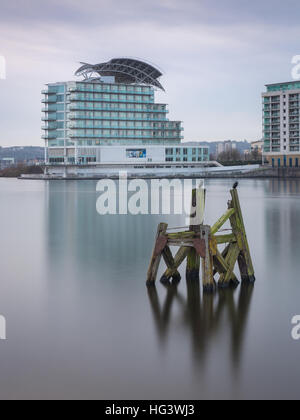 Das St.Davids Hotel und zwei Schlafplatz Kormorane, Cardiff Bay, Glamorgan, Wales, UK Stockfoto