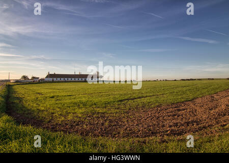 Landschaftsbild des Alentejo Region, Portugal, Europa Stockfoto