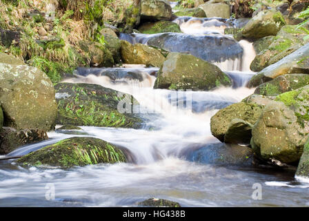 Hautnah auf dem schnell fließenden Wasser Burbage Brook in Rocky River Tal der Padley Schlucht, Longshaw Estate, Peak District, UK Stockfoto