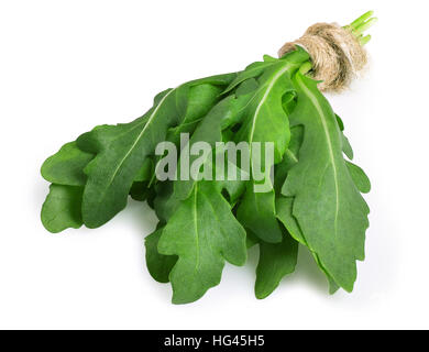 Handvoll Rucola oder Rucola Blätter gebunden mit Bindfaden isoliert auf weißem Hintergrund Stockfoto