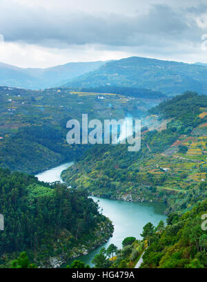 Ansicht des Douro-Flusses in den Tag. Portugal Stockfoto