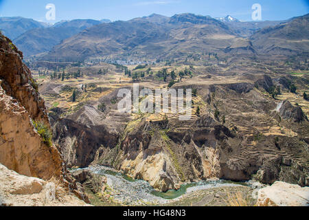 Blick über die Inka-Terrassen und den Rio Colca im Colca Tal Stockfoto