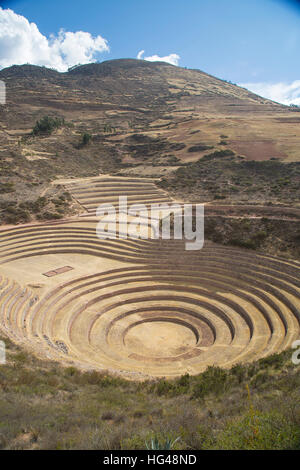 Inca landwirtschaftlichen Terrassen am Moray Stockfoto