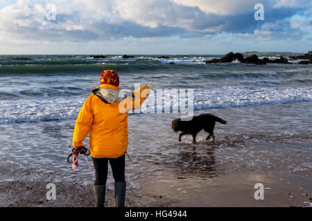 Frau im gelben Mantel zeigt für ihre schwarzen Hund entlang des Ufers des sixpenny Strand Porth Nobla, Llanfaelog, Anglesey, Wales Stockfoto