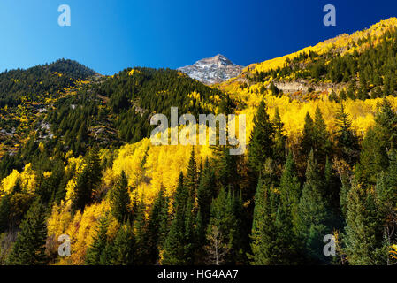 Herbstfarben Laub und großen Berg mit Schnee an der Spitze im Marmor county Stockfoto