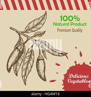 Handgezeichnete Chili Papier. Vorlage für Restaurant, Café, Bar oder Fast-Food-Plakat, Broschüre oder Flyer. Mexikanisches Restaurant Poster, Broschüre oder Menü Vorlage Essen. Vektor-Illustration. Stock Vektor