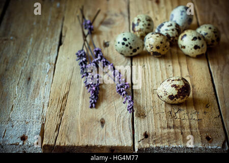 Verstreuten Wachteleier mit Lavendel Zweige auf verwitterte Scheune Holz, Ostern, rustikalen Stil, Verwandten, minimalistisch Stockfoto