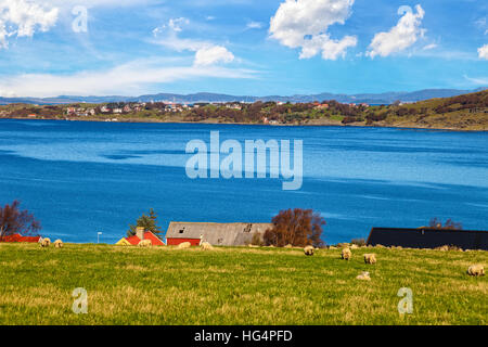 Bild der schönen Landschaft von Norwegen in Mostery, Norwegen. Stockfoto