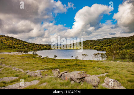 Kleine See Landschaft Norwegens. Stockfoto