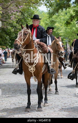 Gaucho-Parade auf den Tag der Tradition, San Antonio de Areco, La Pampa, Argentinien, Südamerika Stockfoto