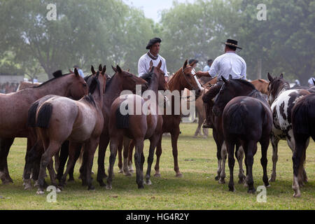 Gaucho-Festival auf den Tag der Tradition, San Antonio de Areco, La Pampa, Argentinien, Südamerika Stockfoto