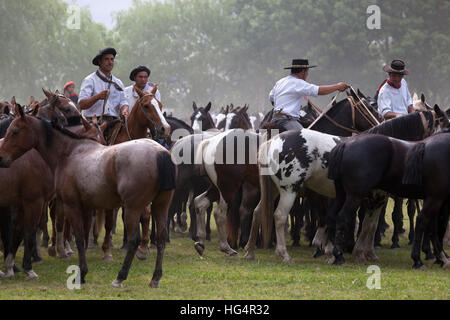 Gaucho-Festival auf den Tag der Tradition, San Antonio de Areco, La Pampa, Argentinien, Südamerika Stockfoto