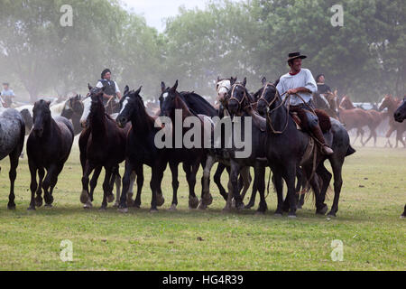 Gaucho-Festival auf den Tag der Tradition, San Antonio de Areco, La Pampa, Argentinien, Südamerika Stockfoto