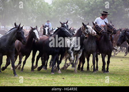 Gaucho-Festival auf den Tag der Tradition, San Antonio de Areco, La Pampa, Argentinien, Südamerika Stockfoto