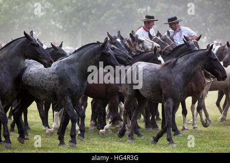 Gaucho-Festival auf den Tag der Tradition, San Antonio de Areco, La Pampa, Argentinien, Südamerika Stockfoto