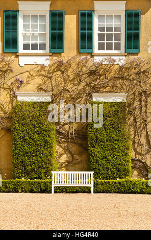 Weiße Holzbank vor alten, goldenen Stein Haus mit grünen Verschluss Fenster, Heckenpflanzen und Klettern Glyzinie Stockfoto