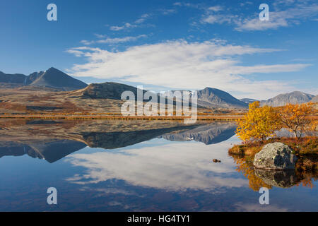 Birken zeigt Herbstfarben entlang See, Døråldalen im Rondane Nationalpark, Oppland, Norwegen Stockfoto