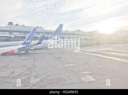 Scandinavian Airlines Jetliner Line-up vor den Toren am Flughafen Stockholm Arlanda an einem sonnigen Tag im Dezember. Stockfoto