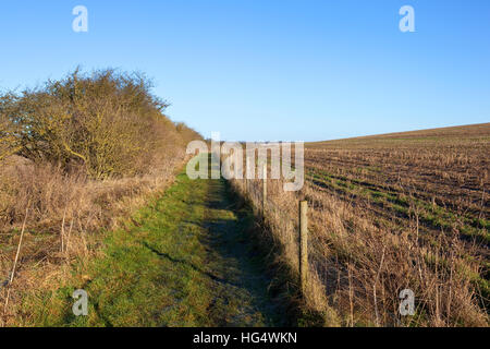 Eine grasbewachsene Maultierweg mit einem Weißdorn Hecke und Draht Zaun in Yorkshire Wolds Landschaft unter einem strahlend blauen Himmel im Winter. Stockfoto