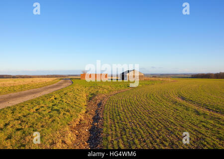 Ein Feldweg führt an alten Gebäuden in der landwirtschaftlichen Landschaft der Yorkshire Wolds im Winter. Stockfoto