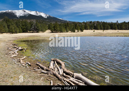 Die San Francisco Peaks erhebt sich über Bismark See weit unten. Coconino National Forest, Arizona Stockfoto