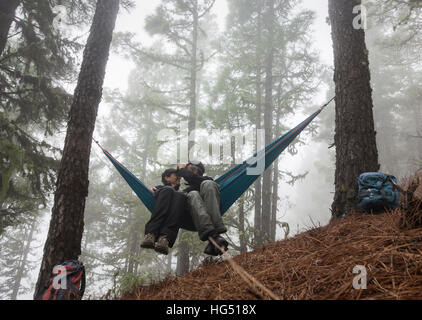 Reifen Sie paar Wandern, entspannen in der Hängematte im nebligen Pinienwald. Stockfoto