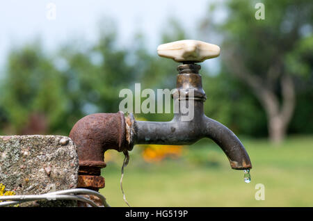 Eine alte rostige Wasserhahn im Garten. Stockfoto