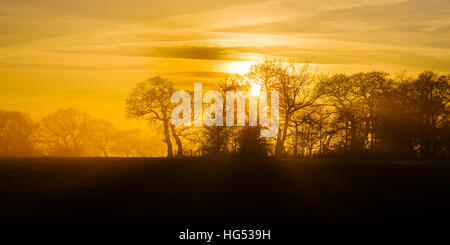 Frostigen Felder mit langen Schatten und Nebel in der Nähe von Garstang Lancashire England Stockfoto