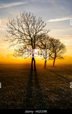 Frostigen Felder mit langen Schatten und Nebel in der Nähe von Garstang Lancashire England Stockfoto