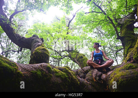 Junge Frau sitzt am Kastanienbaum in Lotus-Pose. Stockfoto