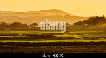 Felder in der Nähe von Garstang Lancashire England am frühen Morgen auf Parlick verliebte sich in den Wald von Bowland Stockfoto