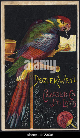 Backen Handel Karte - Dozier Weyl Cracker Co. St.Louis Stockfoto