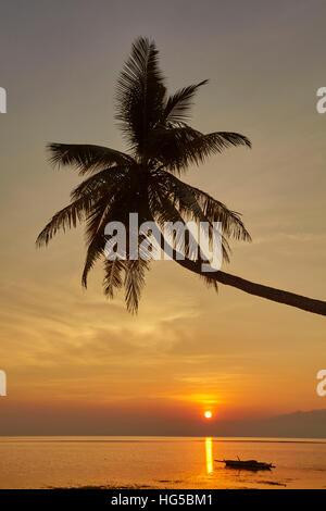 Ein Sonnenuntergang Silhouette einer Kokospalme am Paliton Strand, Siquijor, Philippinen, Südostasien, Asien Stockfoto