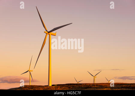 Windenergieanlagen bei Sonnenuntergang, Whitelee Windpark, East Renfrewshire, Schottland, Vereinigtes Königreich Stockfoto