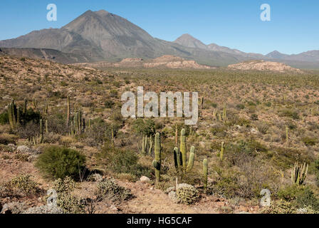 Volcan Las Tres Jungfrauen, Santa Rosalia, Baja California, Mexiko, Nordamerika Stockfoto