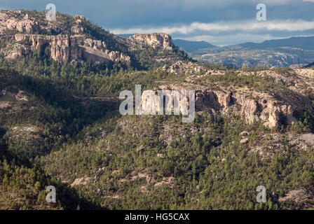 Vulkanische Hochebene der Sierra Tarahumara, oben Copper Canyon, Chihuahua, Mexiko, Nordamerika Stockfoto