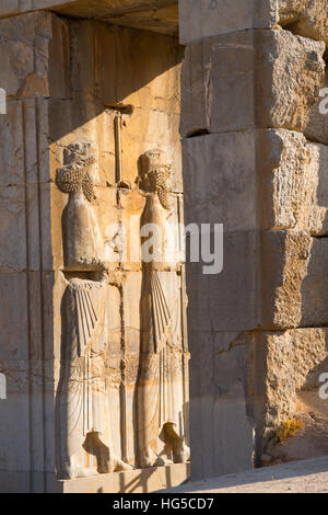 Geschnitzte Relief des königlichen persischen wachen, Persepolis, UNESCO, Iran, Naher Osten Stockfoto