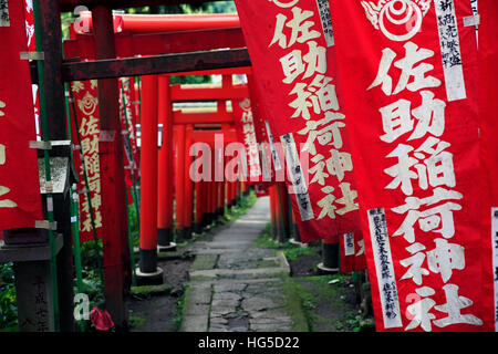 Gasse in Kamakura Hügel, Honshu, Japan, Asien Stockfoto